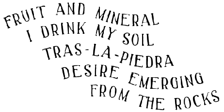Fruit and mineral. I drink my soil. Tras-la-Piedra, desire emerging from the rocks.